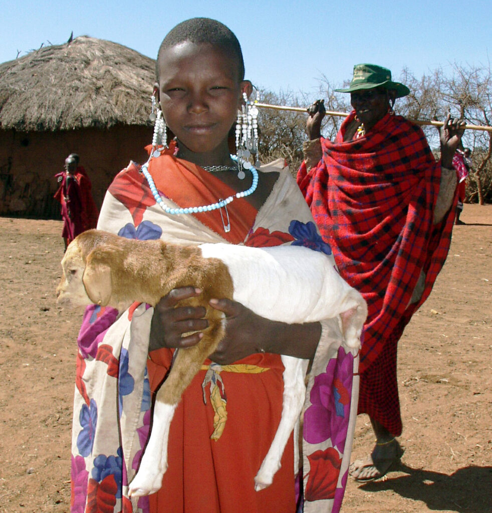 Maasai Girl - with a baby sheep on her arms